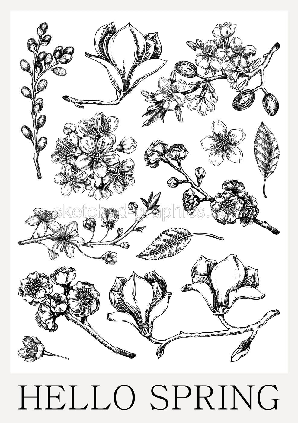 Spring poster design. Blooming branches sketches. Hand-drawn botanical illustration. Floral print design. NOT AI genereted Illustration